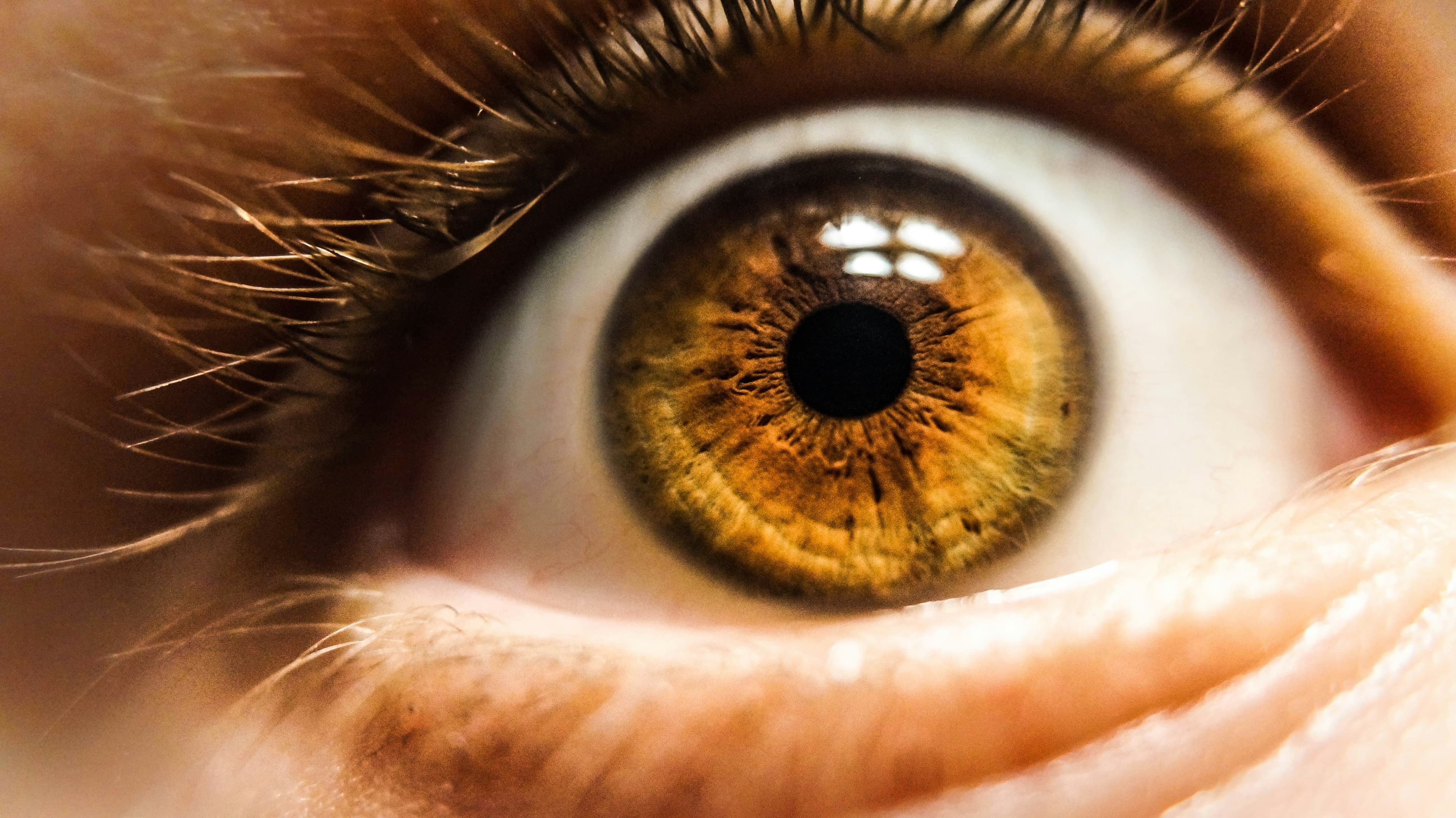 Brown  eye color