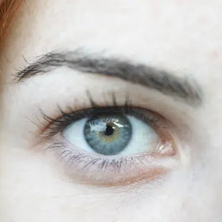 Gray eye color - gray iris calculator result example