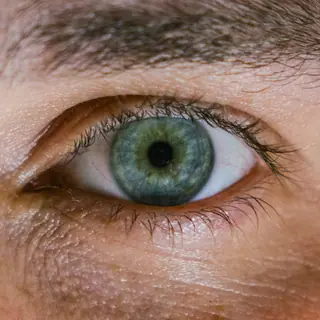 Green eye color - green iris calculator result example